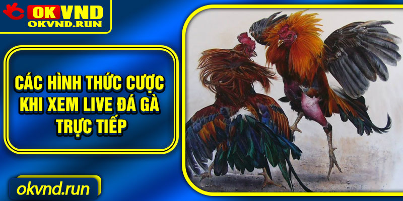 Các hình thức cược khi xem live đá gà trực tiếp