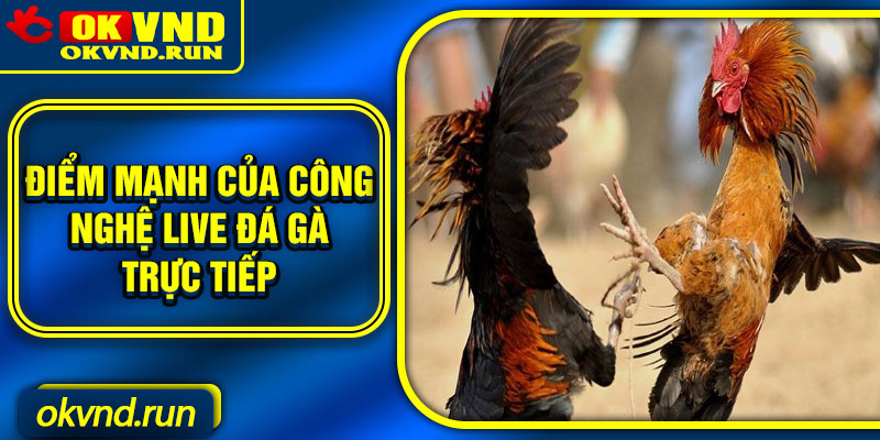 Điểm mạnh của công nghệ live đá gà trực tiếp