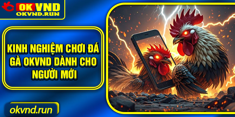 Kinh nghiệm chơi đá gà Okvnd dành cho người mới