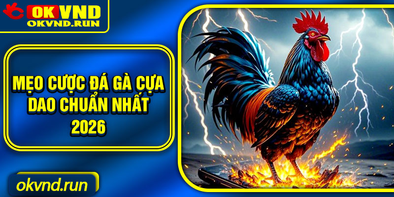 Mẹo cược đá gà cựa dao chuẩn nhất 2026