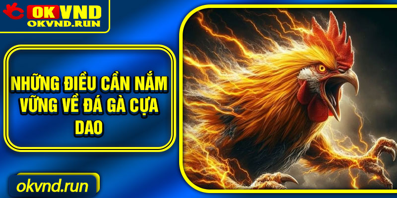 Những điều cần nắm vững về đá gà cựa dao