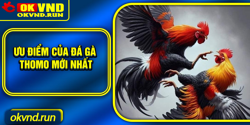 Ưu điểm của đá gà Thomo mới nhất