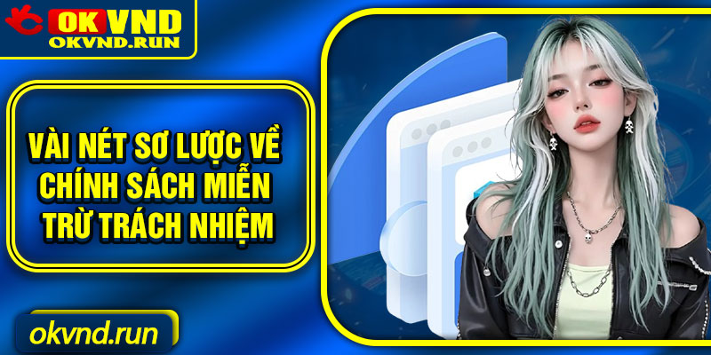 Vài nét sơ lược về chính sách miễn trừ trách nhiệm